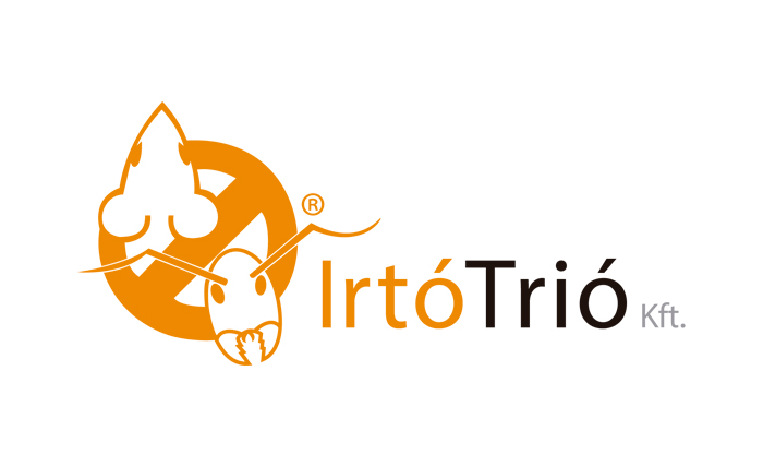 irtotrio.jpg